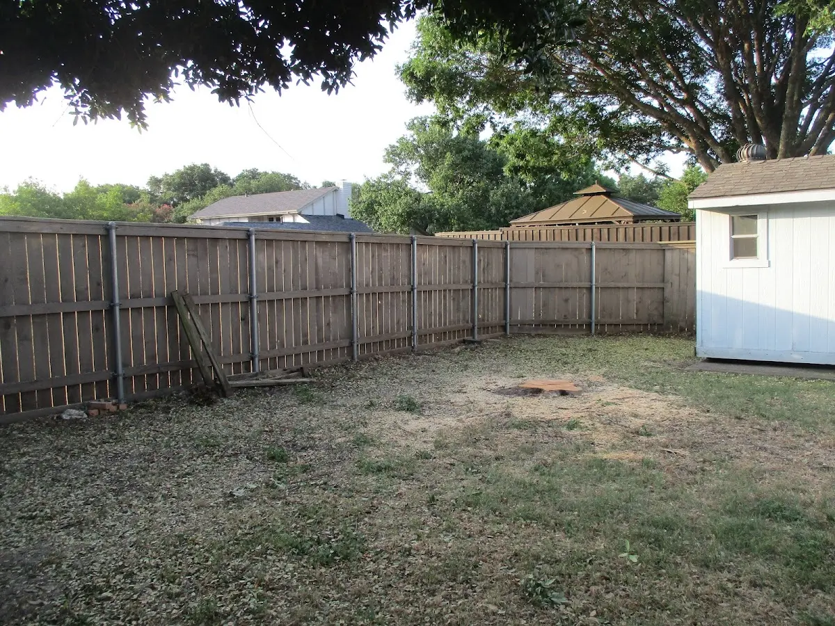 Cleared yard after professional tree removal in Sale City